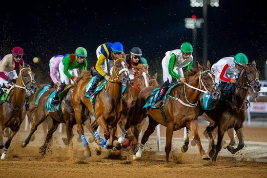 موسم سباقات الرياض.. ستة أشهر من التنافس ومبادرات جديدة لدعم الإنتاج المحلي