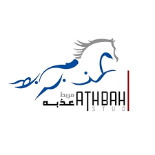 مربط عذبة.. حين تتحول أصالة الخيل السعودية إلى إنجاز عالمي