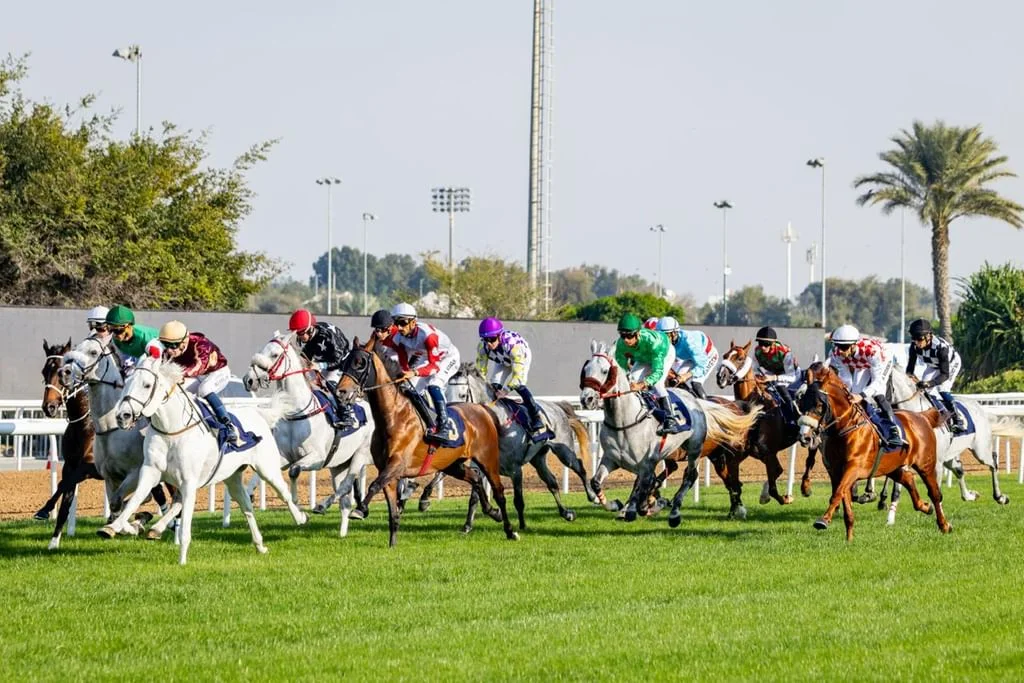 أبوظبي تدشن موسم سباقات الخيل في الإمارات ضمن روزنامة تضم 64 أمسية