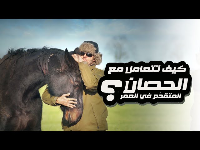 الخيول المسنة: كيف تتغير احتياجاتها مع تقدم العمر؟